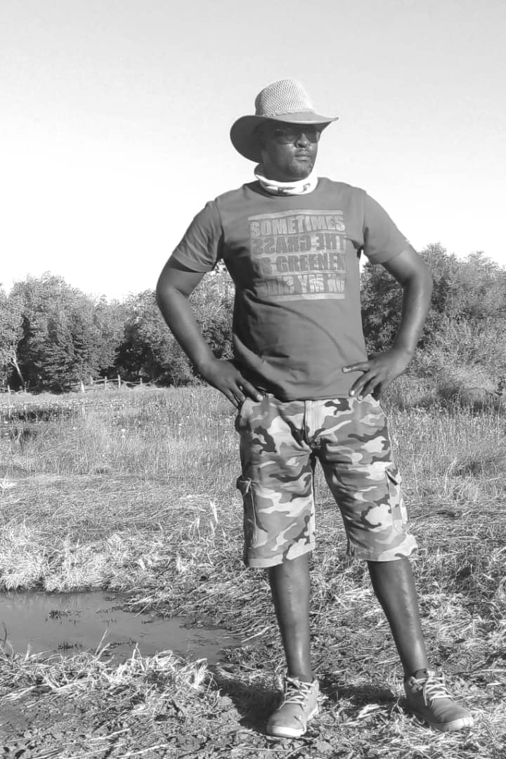 Mzilikazi Way Safaris  gallery