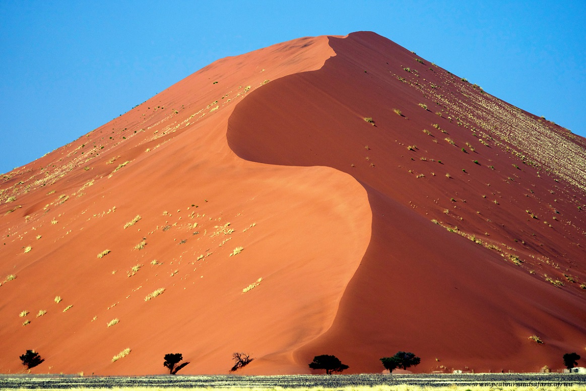 PEA Tours and Safaris gallery