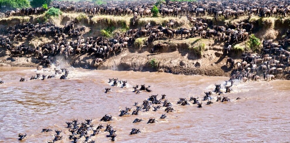 Paramount View Tanzania Limited gallery