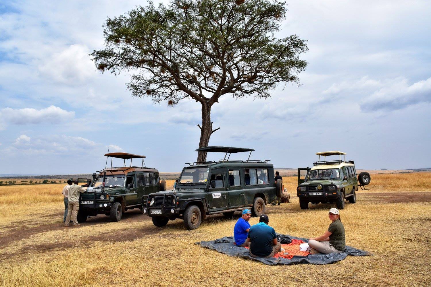 Shalom Safaris gallery