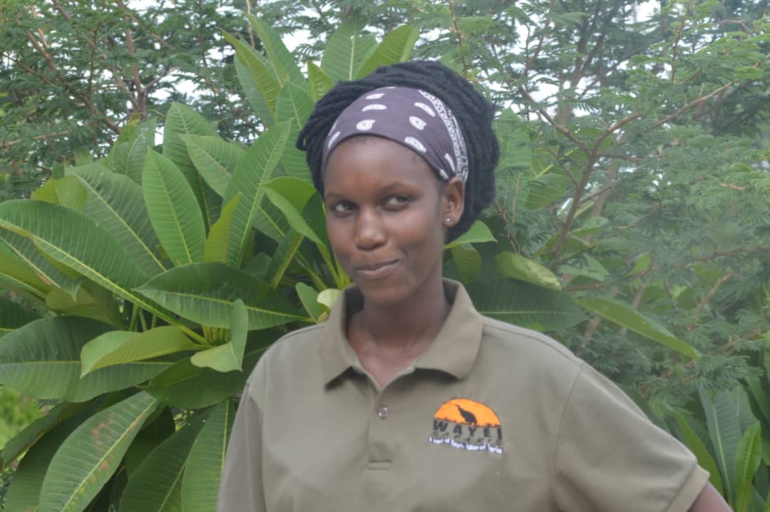 Wayei Safaris  gallery