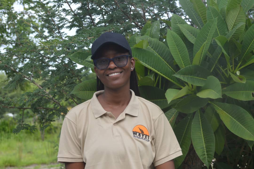 Wayei Safaris  gallery