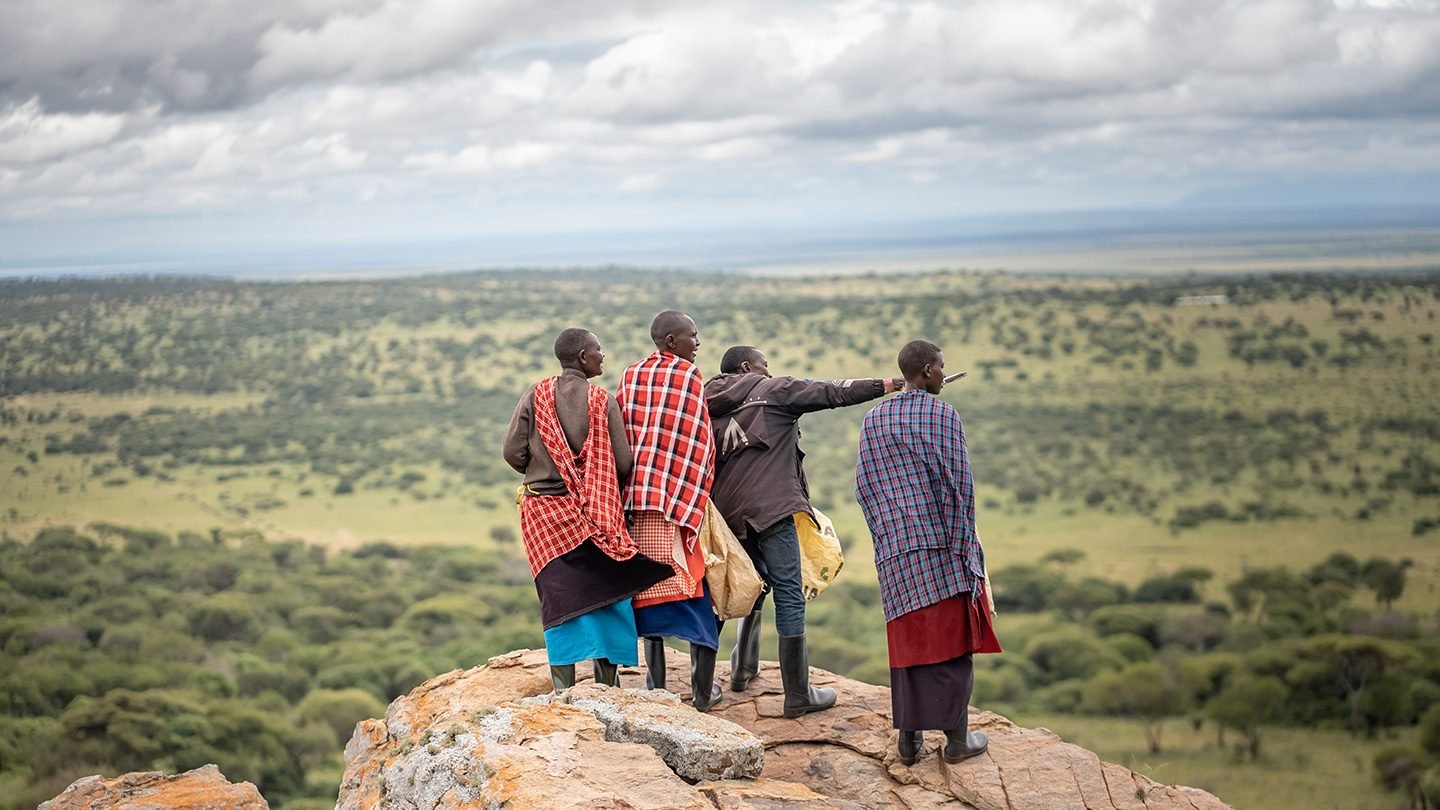 tarangire experience safaris gallery