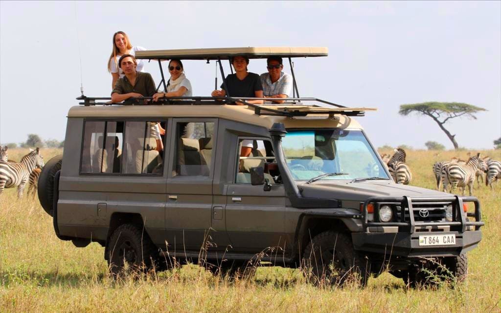 tarangire experience safaris gallery