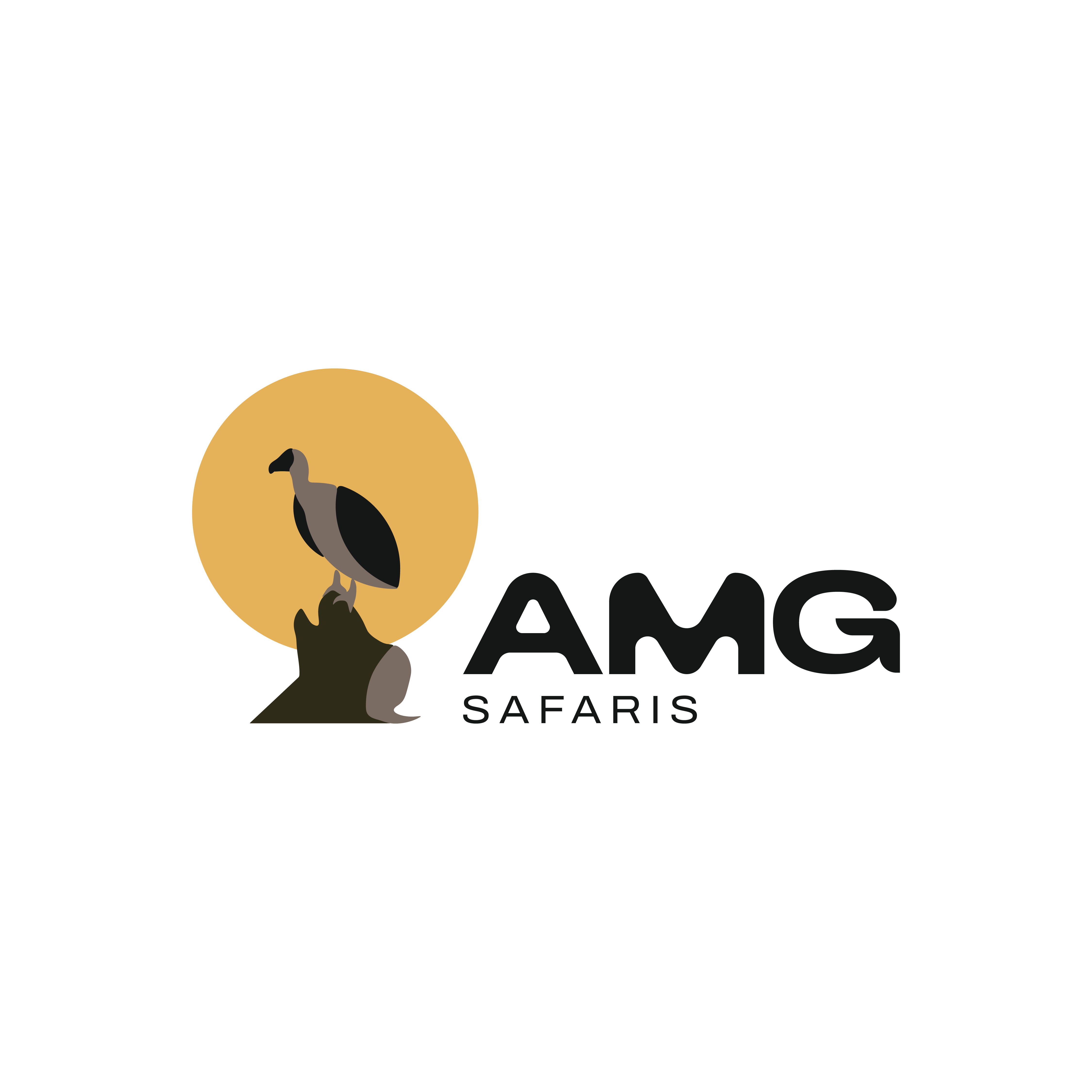 AMG SAFARI LIMITED logo
