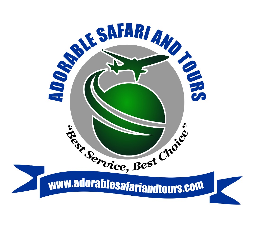 Adorable Safari and Tours 