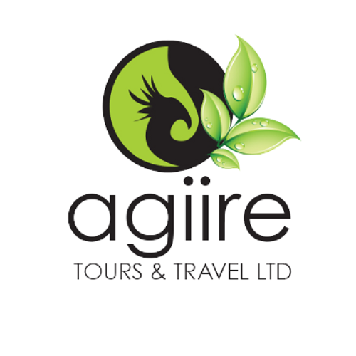 Agiire Tours and Travel logo