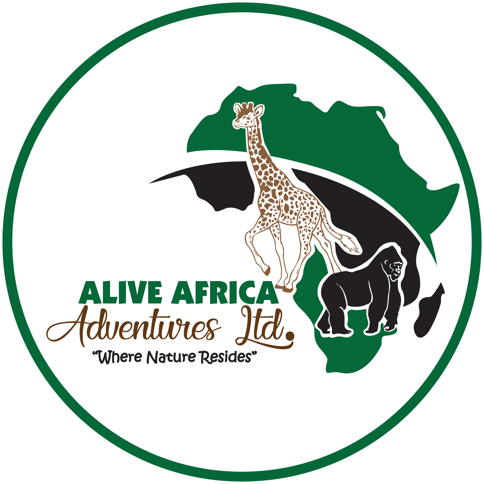 Alive Africa Adventures