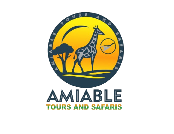 Amiable Tours and Safaris logo