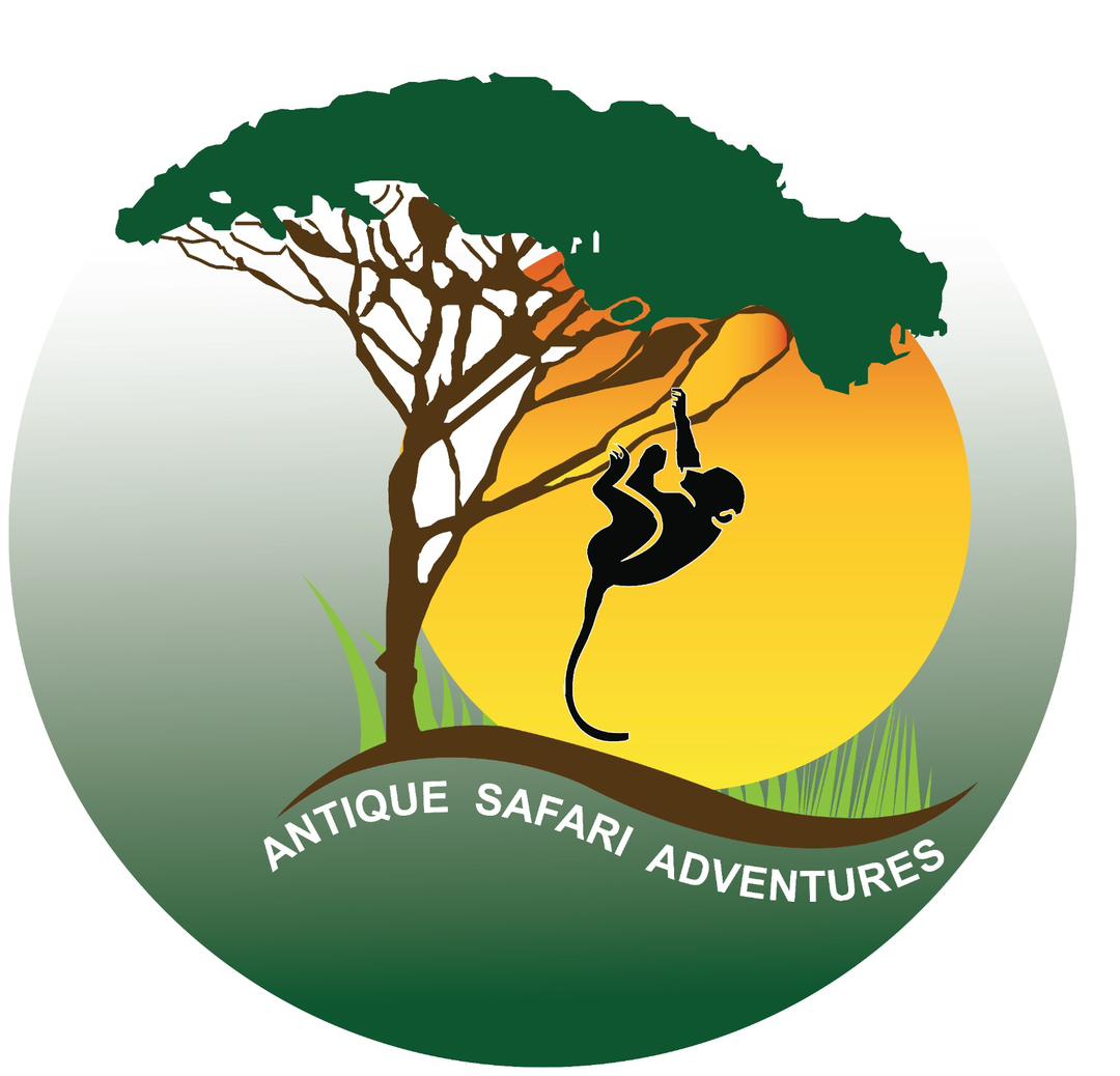 Antique safari Adventures  Limited