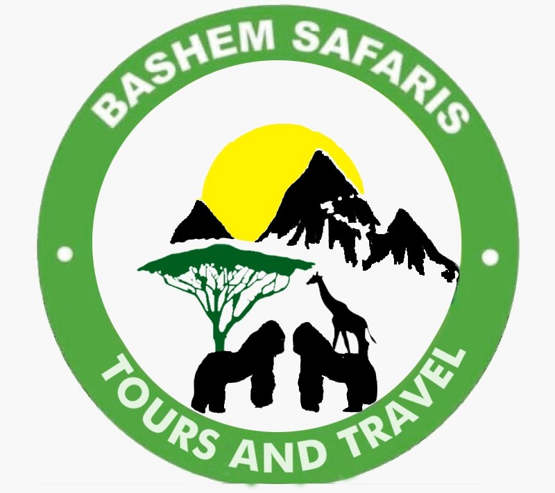 Bashem Safaris Tours and Travel