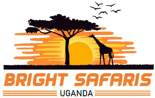 Bright Safaris Uganda