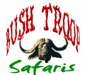Bushtroop Tours and Safaris