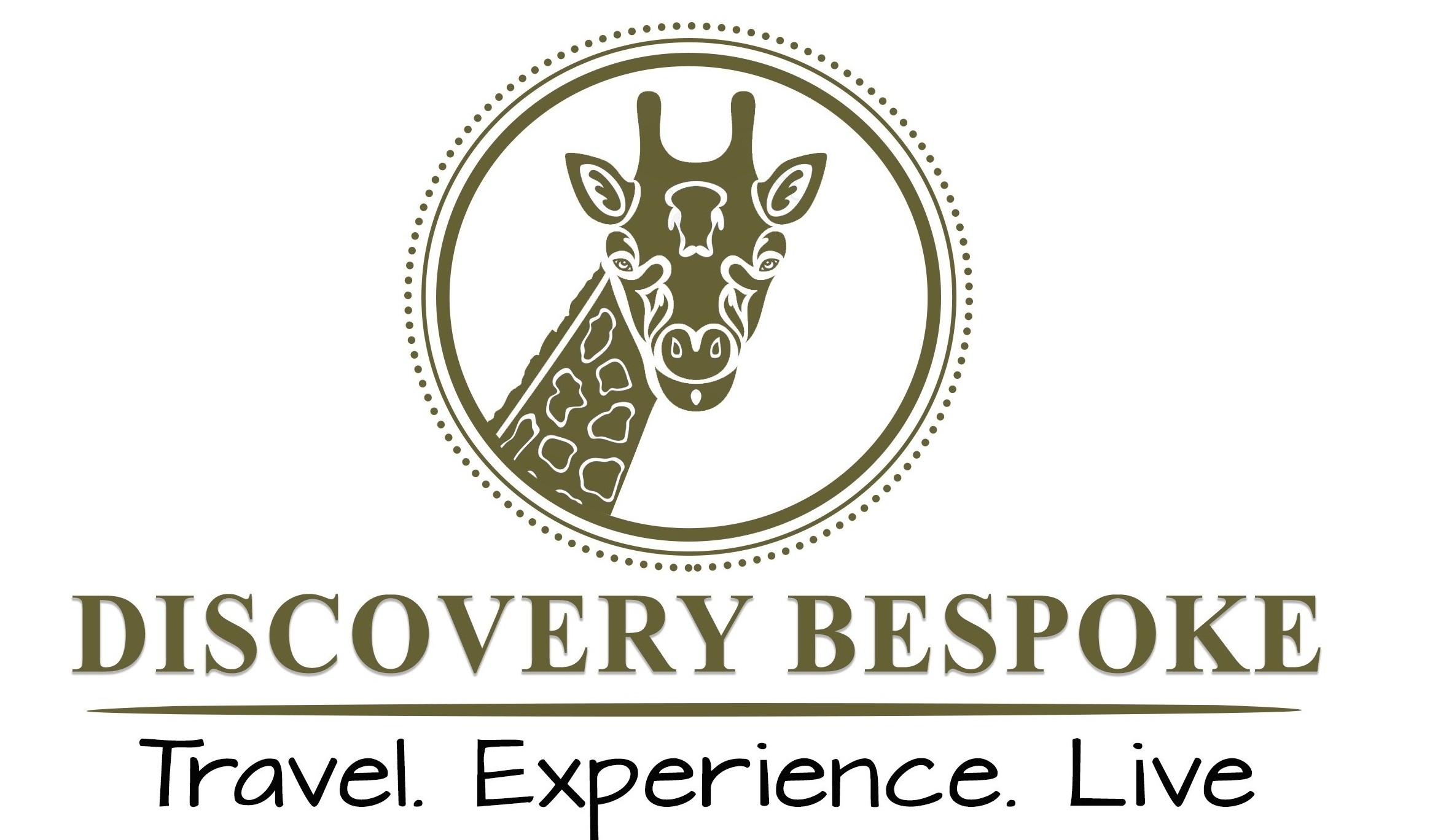 DISCOVERY BESPOKE LIMITED logo
