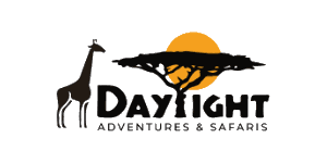 Daylight Adventures & Safaris