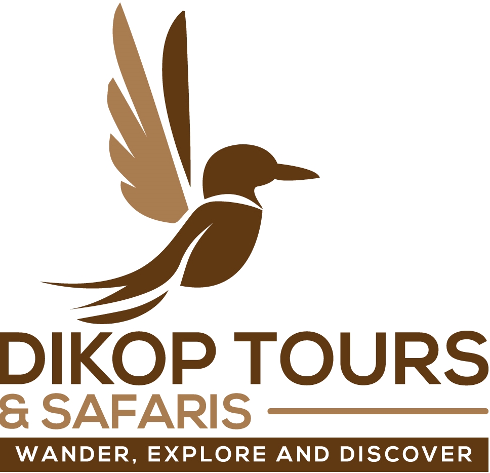 Dikop Tours & Safaris