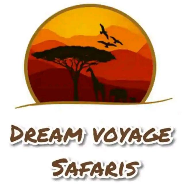 Dream voyage safaris logo
