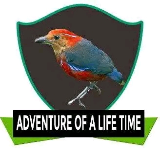 Ecovic Tours & Travel Uganda