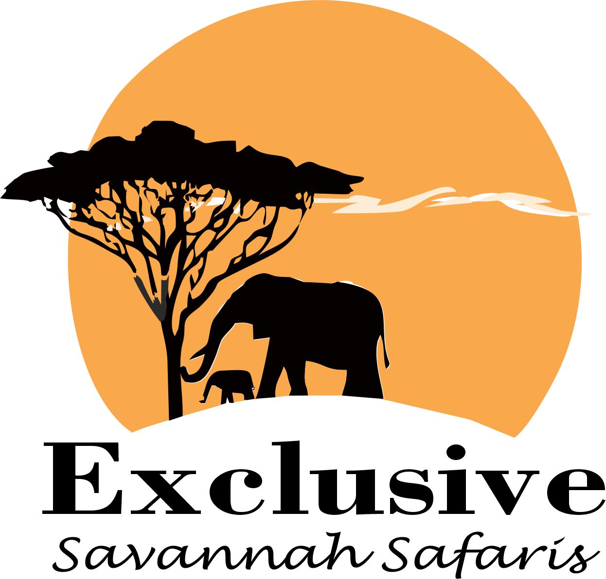 Exclusive Savannah Safaris