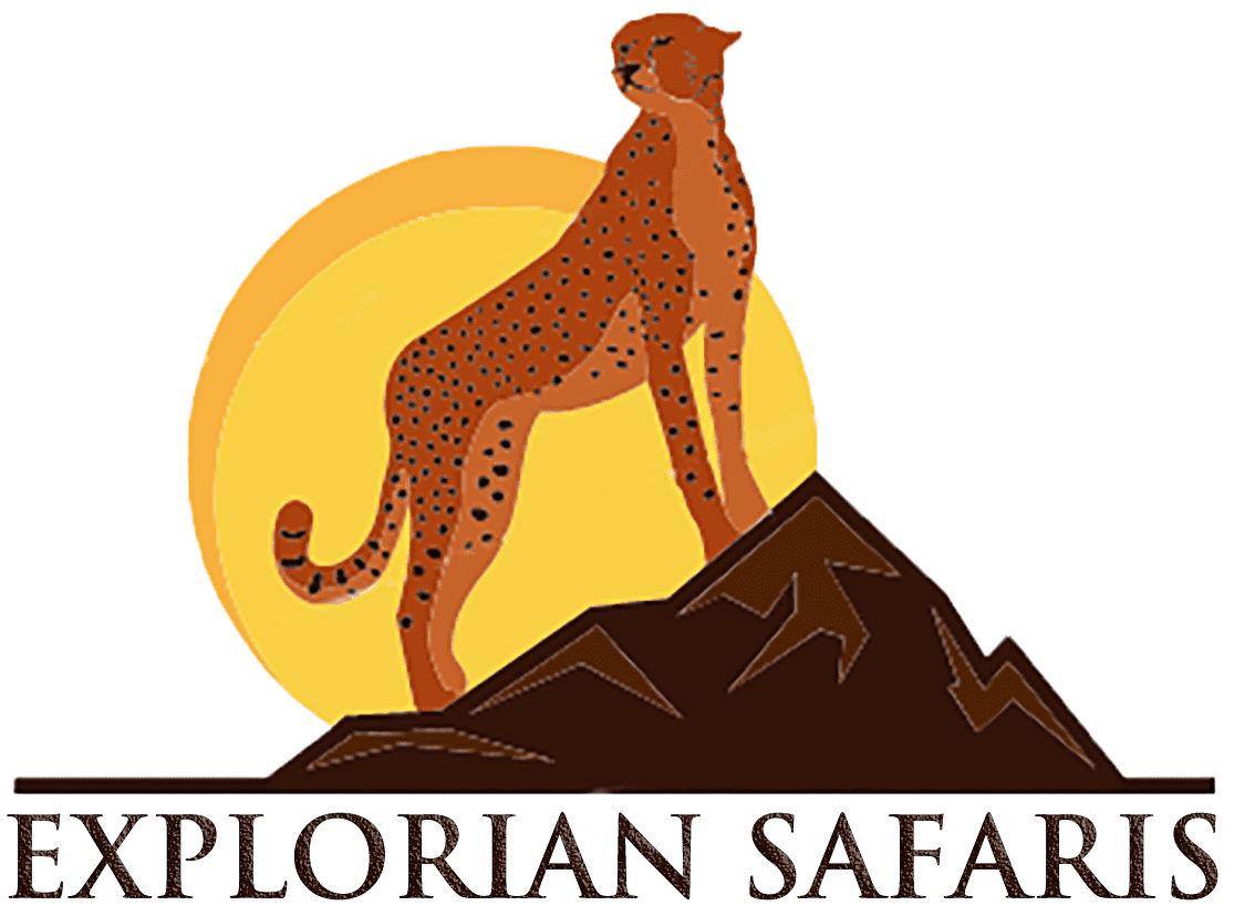 Explorian Safaris
