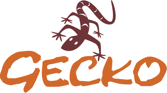 Gecko Adventure Tanzania