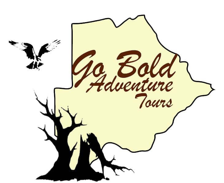 Go Bold Adventure Tours
