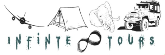 Infinite Tours logo