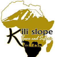 KILI SLOPE TOURS AND SAFARIS LTD logo