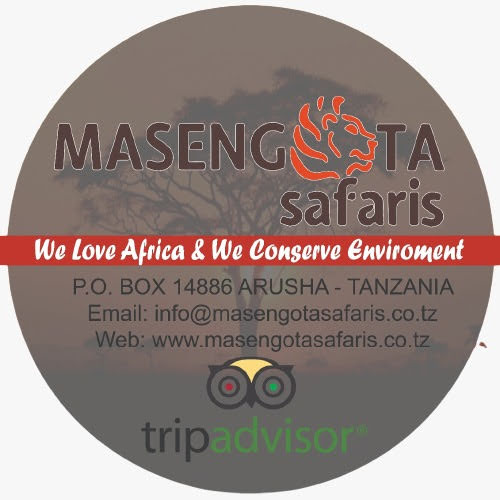 MASENGOTA SAFARIS COMPANY LIMITED 