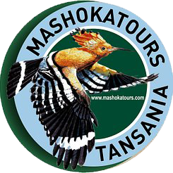 MASHOKA TOURS AND SAFARI LIMITED.  logo