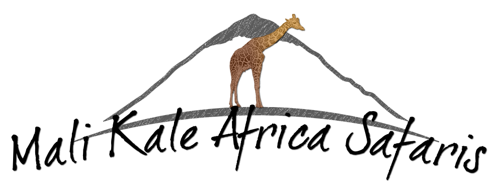 Mali Kale Africa Safaris Limited logo
