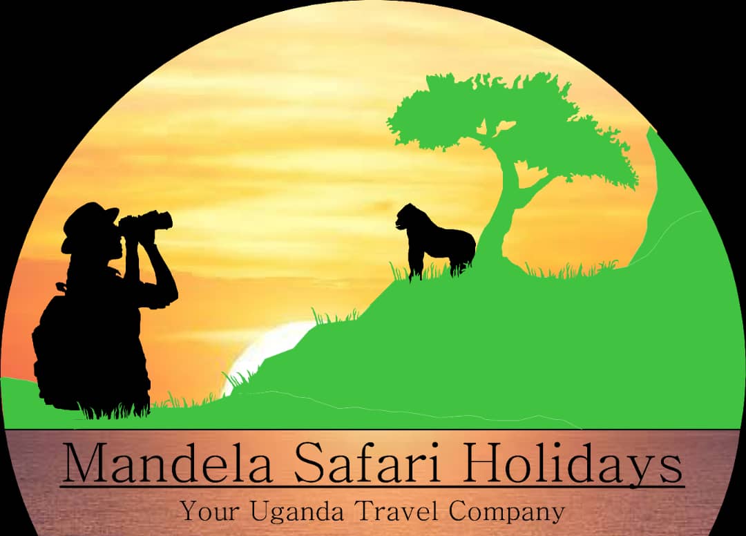 Mandela Safari Holidays