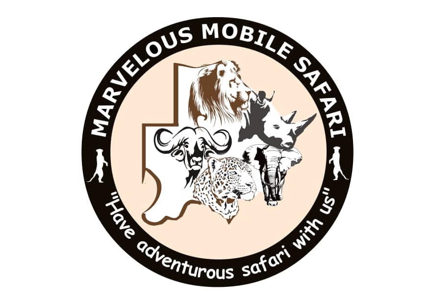 Marvelous mobile safari. 