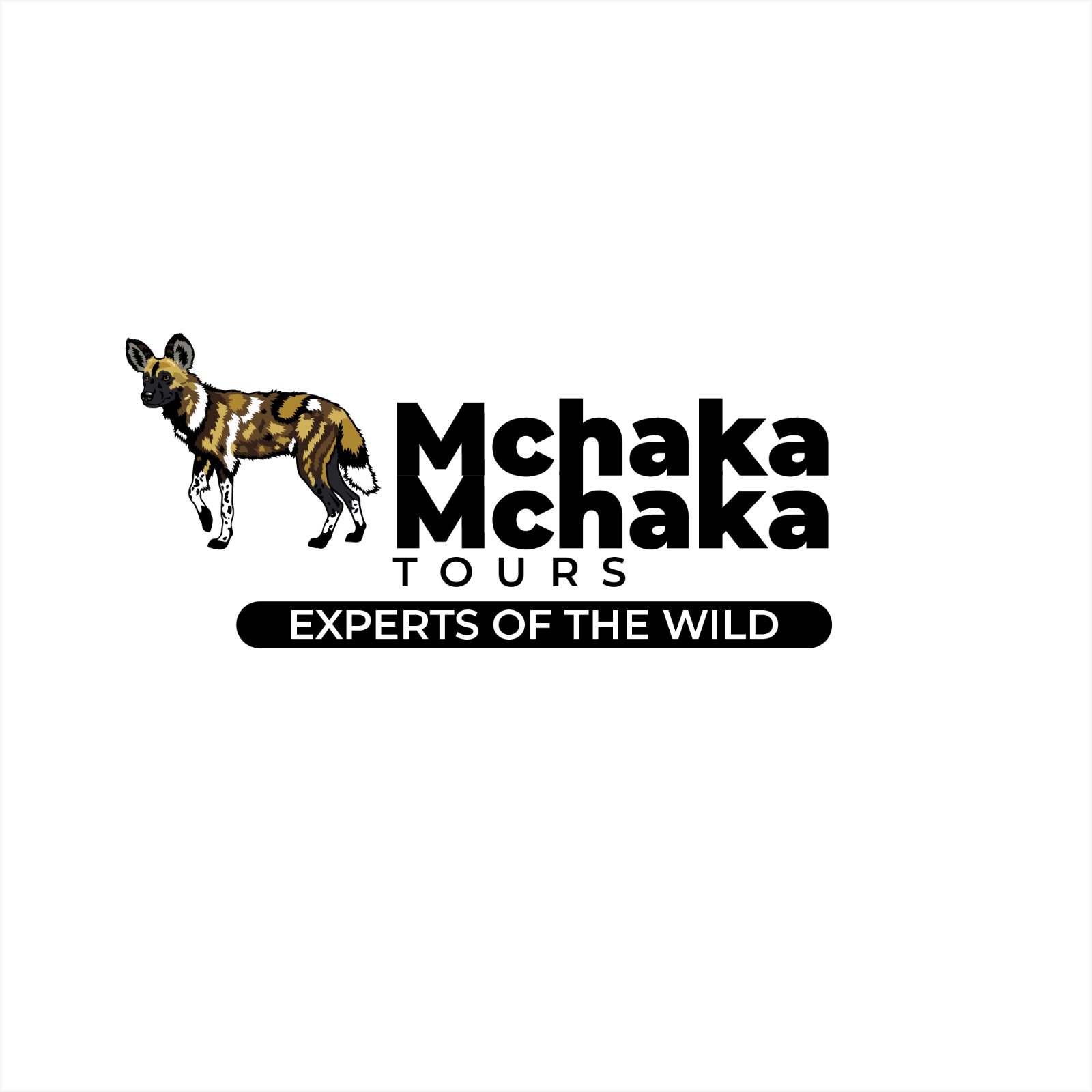 Mchakamchaka tours
