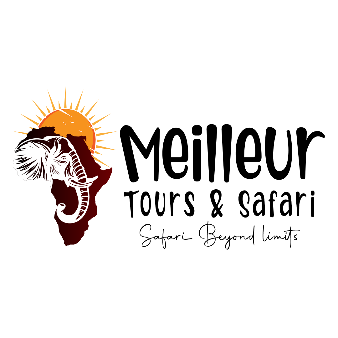 Meilleur Tours and Safari