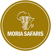 Moria Safaris logo