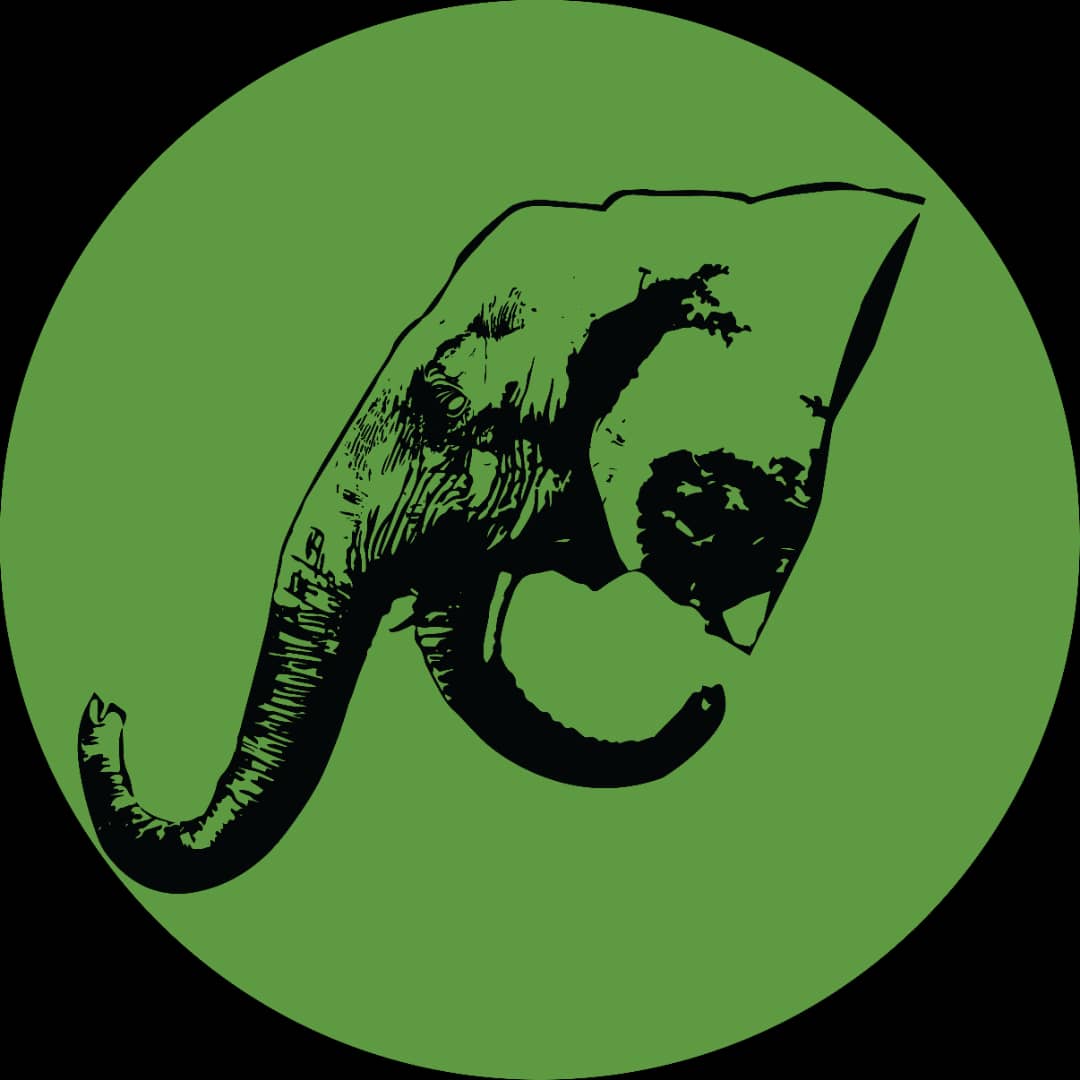 Mystic Adventures Ltd