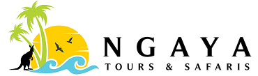 NGAYA TOURS ZANZIBAR LTD