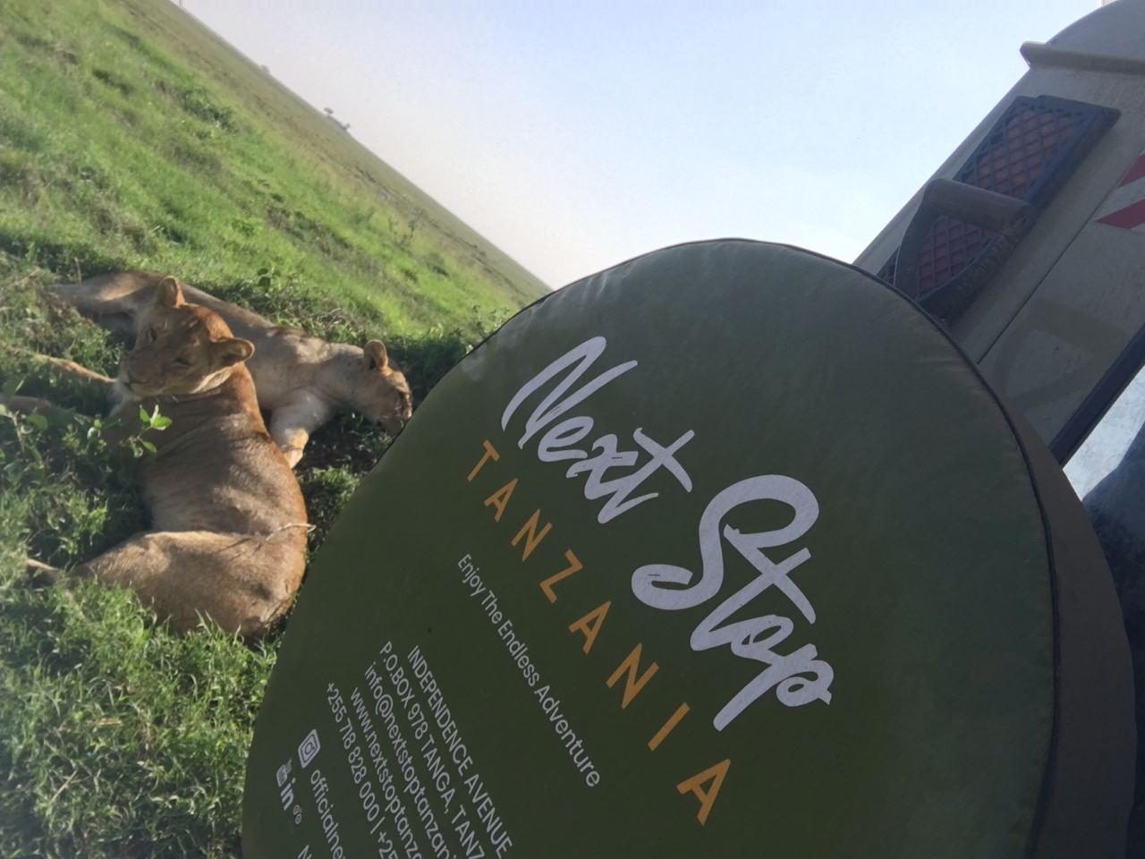 Next Stop Tanzania Safari