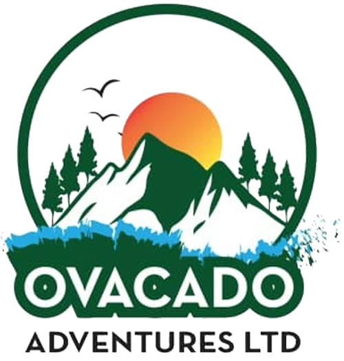 Ovacado Adventures