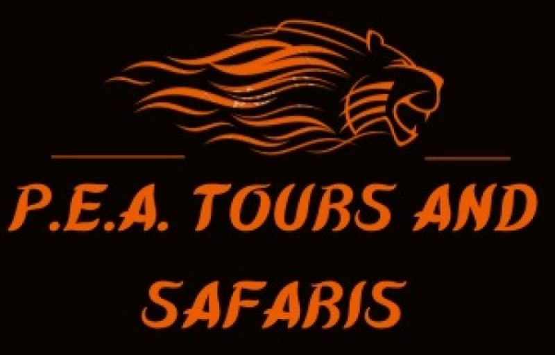 PEA Tours and Safaris