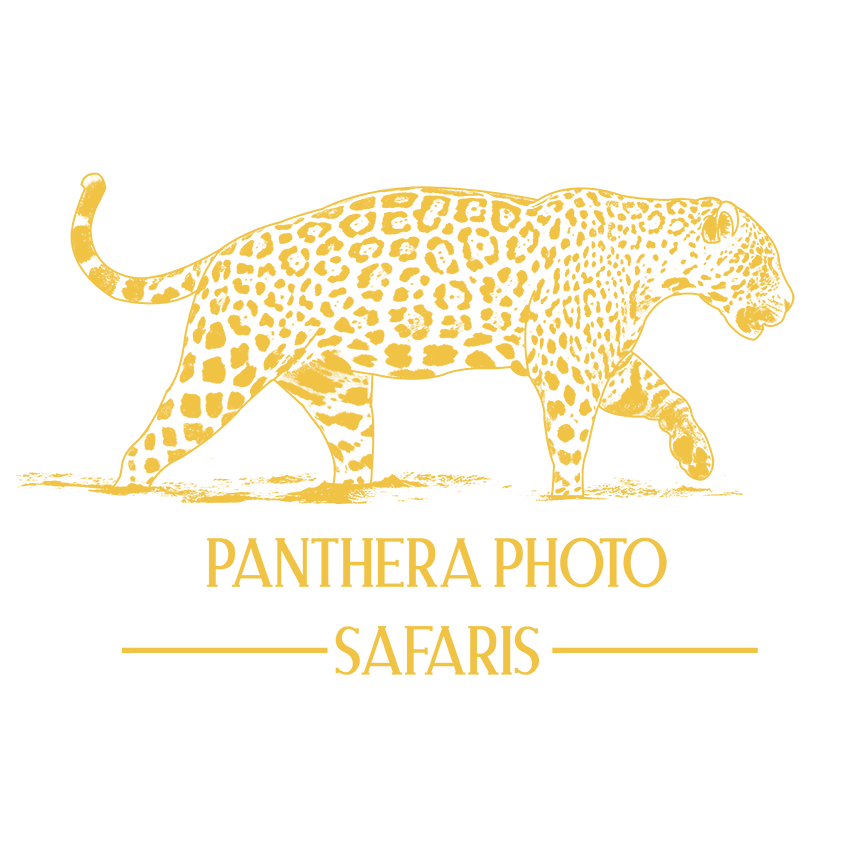 Panther Photo Safaris  logo