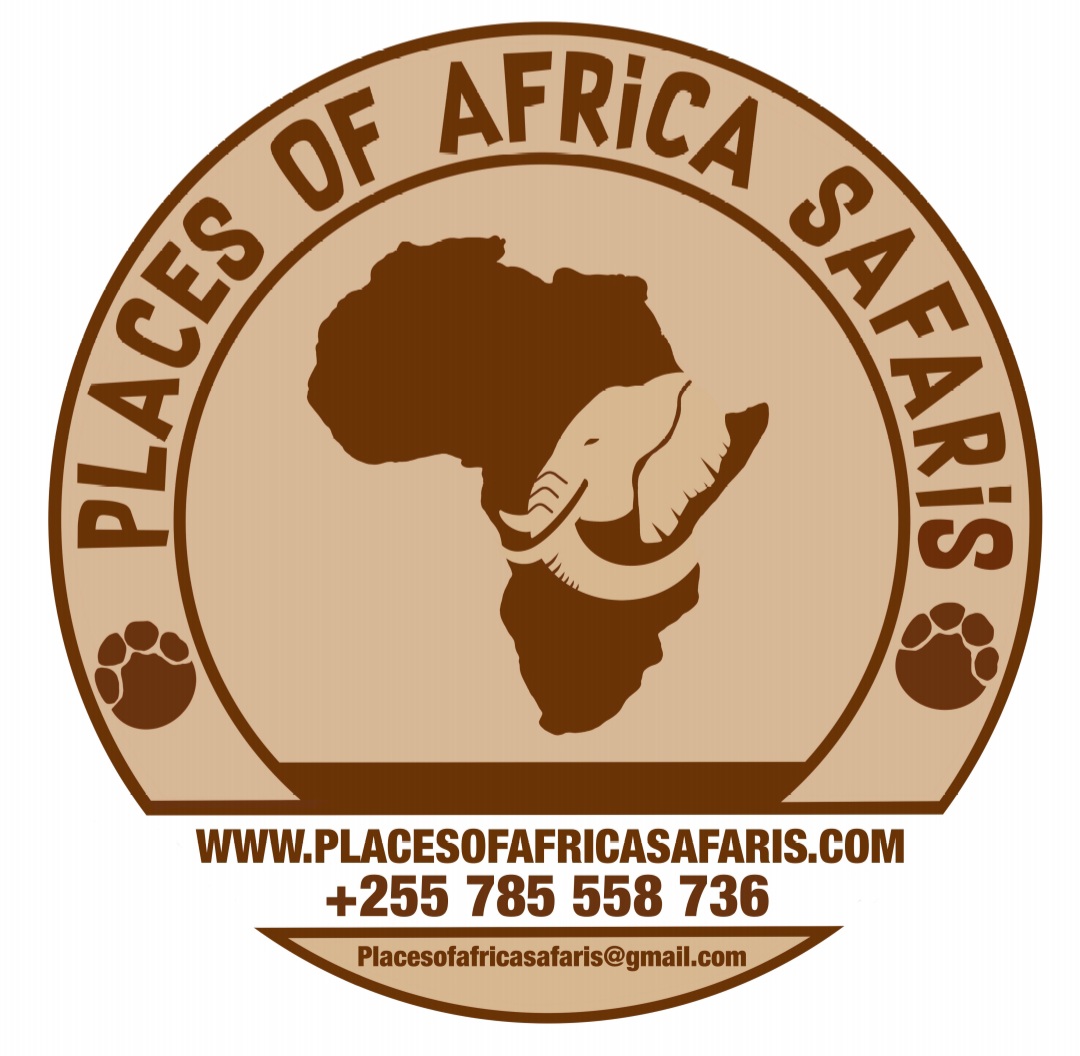Places of Africa Safaris logo