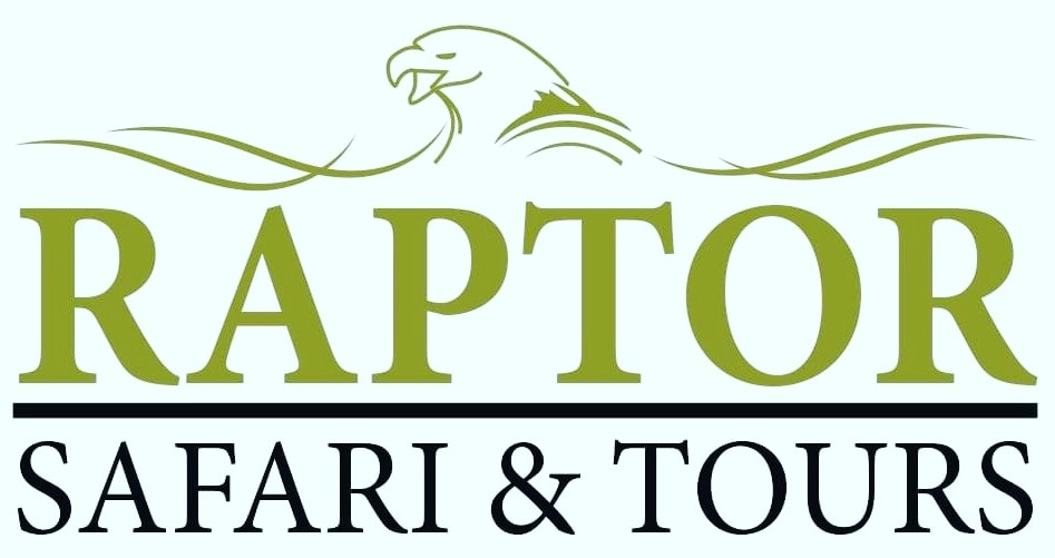 Raptor Safari and Tours 