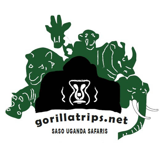 SASOUGANDASAFARIS LTD logo