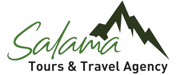 Salamatours & Travel Agency logo