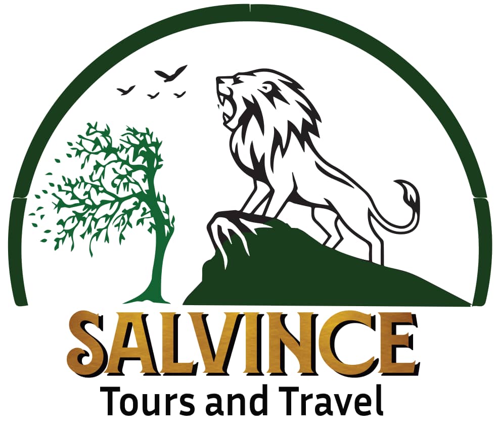 Salvince Tours and Travel  logo