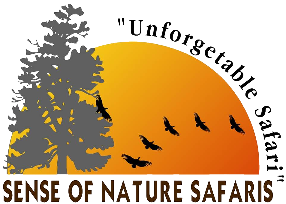 Sense Of Nature Safaris