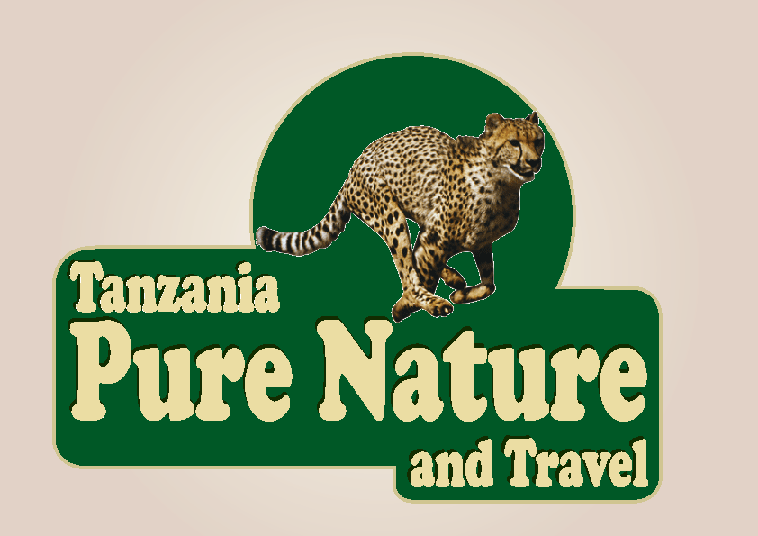 Tanzania pure nature and travel Agency Limited
