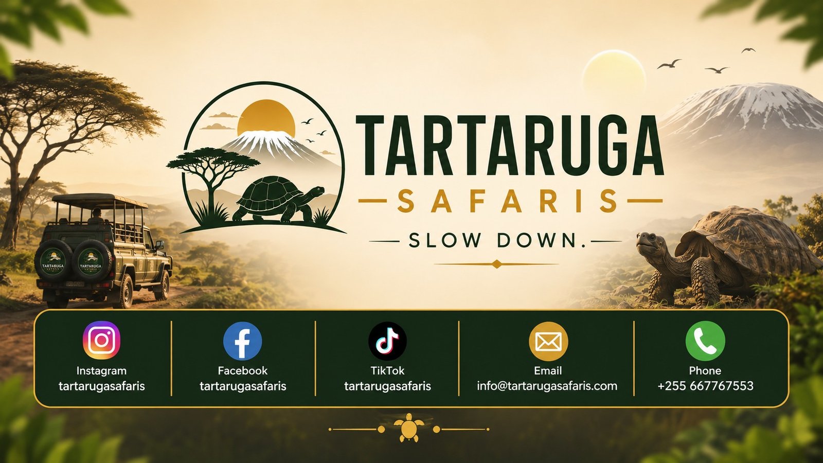 Tartaruga Safaris